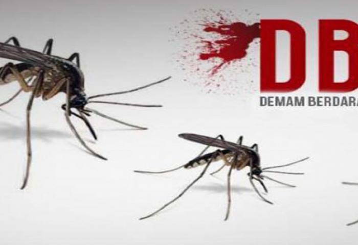 Kasus DBD Mulai Landa Kota Pekanbaru